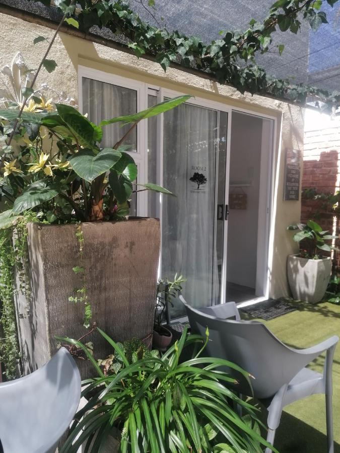 The Oak Treehouse Bnb Queenstown Extérieur photo